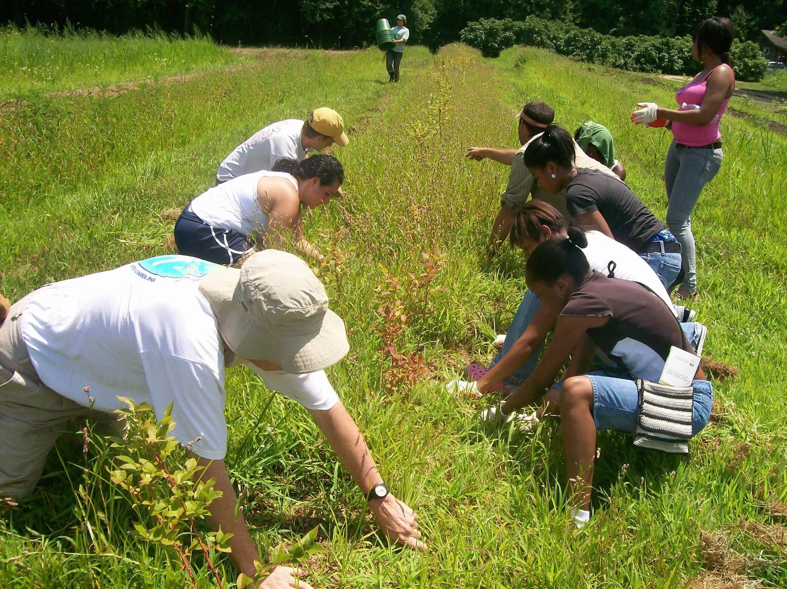 What is the relationship between "community need" and museums?