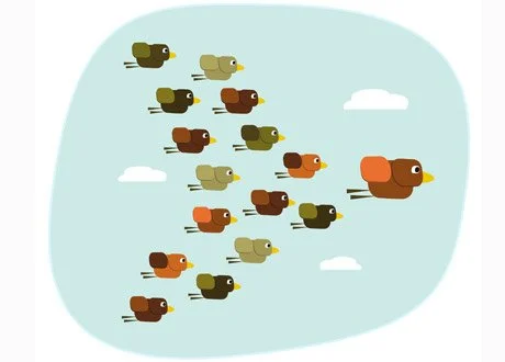 What did I learn in my first year?