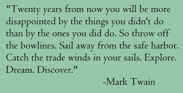 What is the purpose of a Happy New Year blog post?