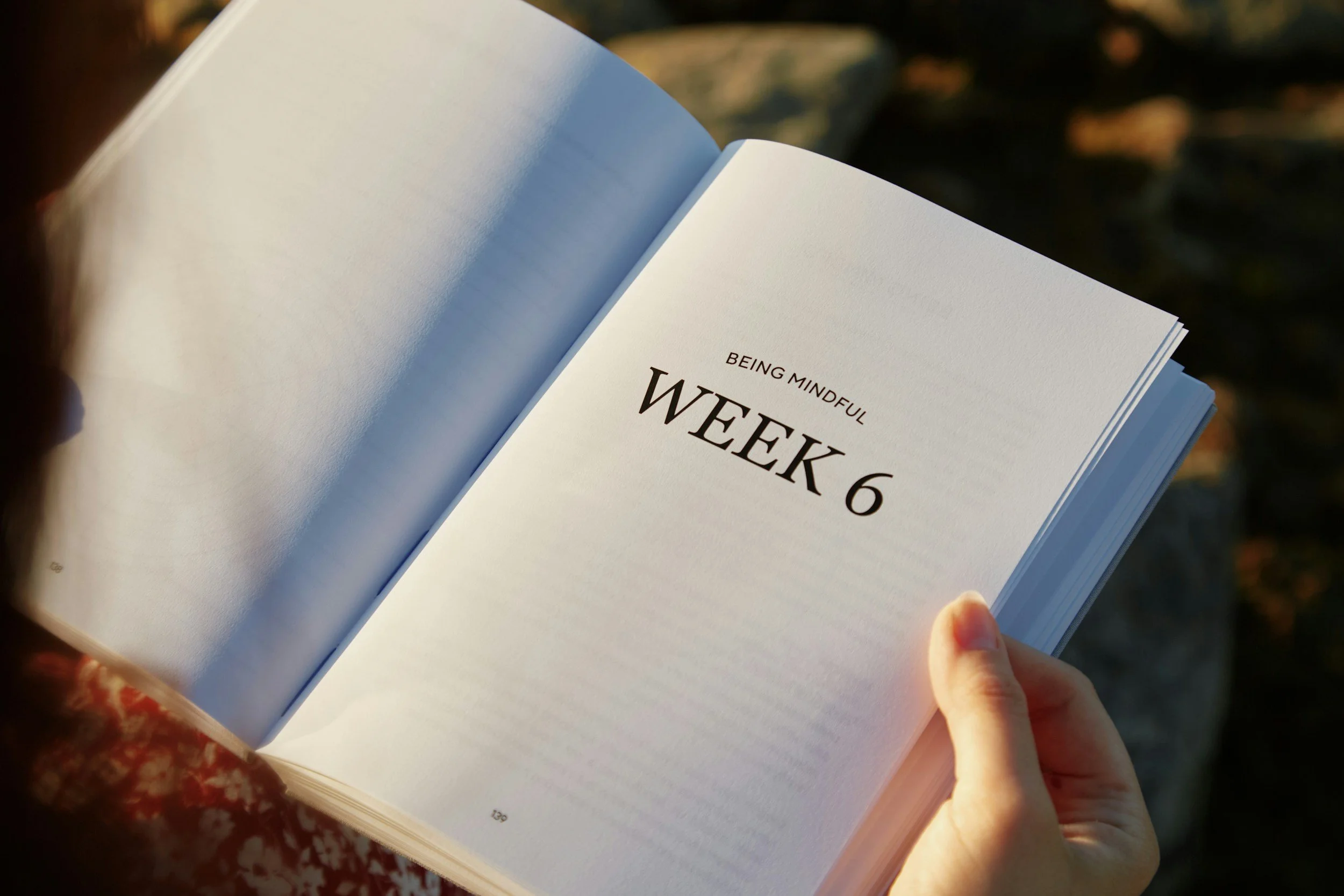 The Sunday Reset: The Habit That Makes Healthy Weeks Much Easier