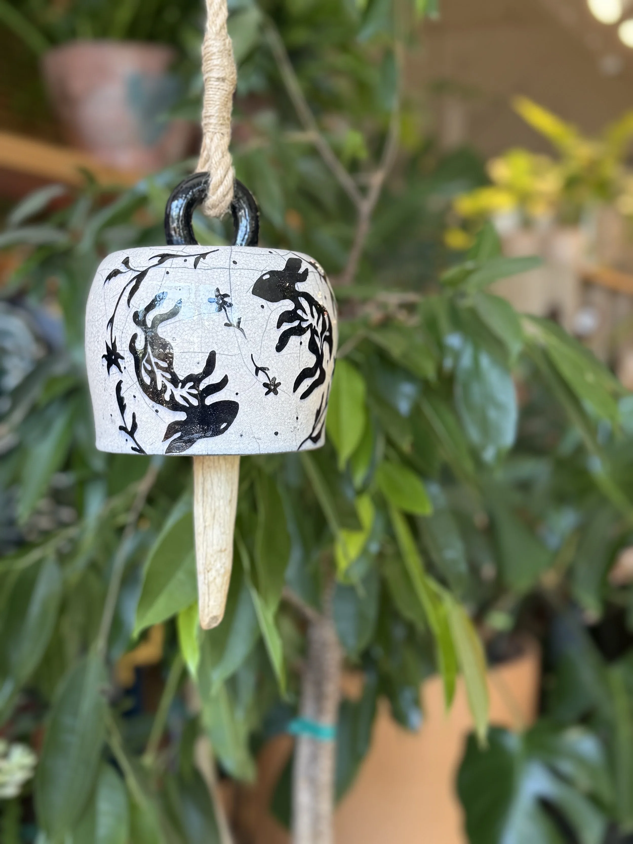 Whimsy In Nature