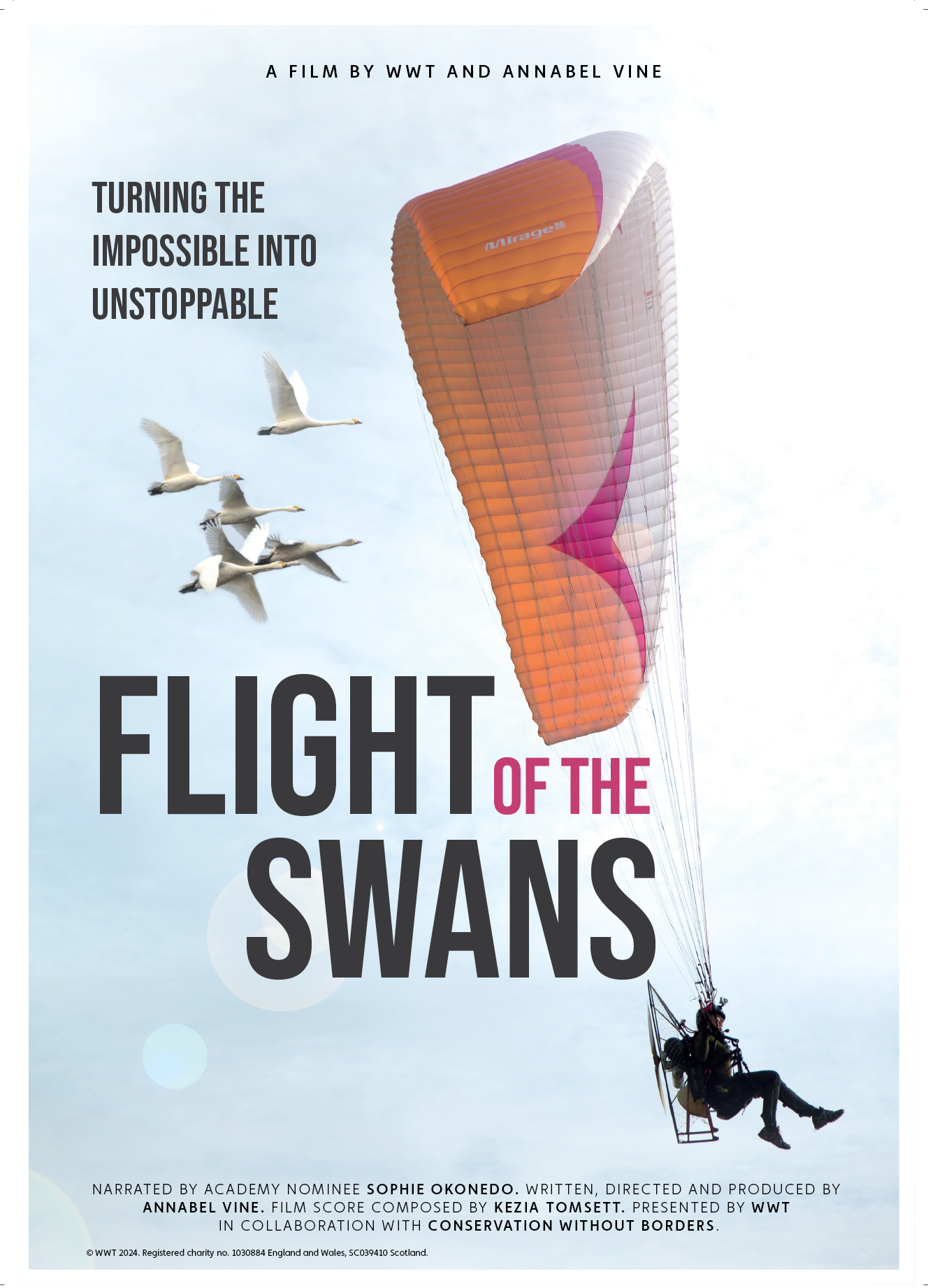 Flight of Swans_poster.png