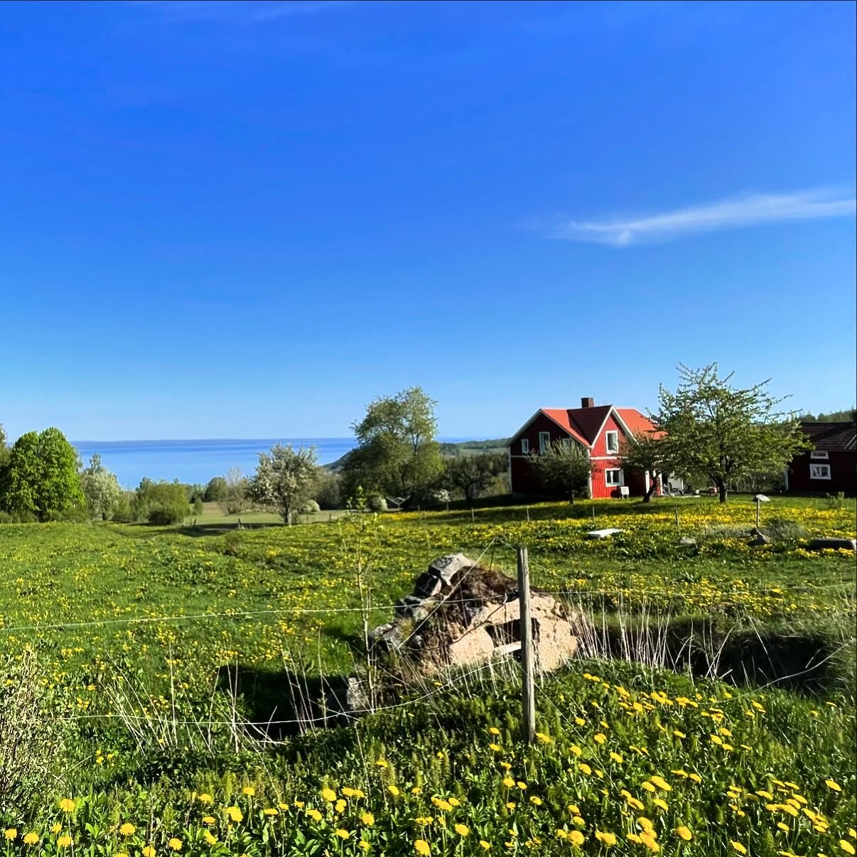 Classic view of Sm&aring;land! 😃

Less than five weeks until race start! We regularly update the information on the homepage and you will also shortly receive a newsletter with lots of infos! Keep your eyes open!😃

Not yet registered? You still hav