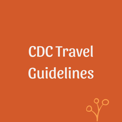 CDC Travel Guidelines