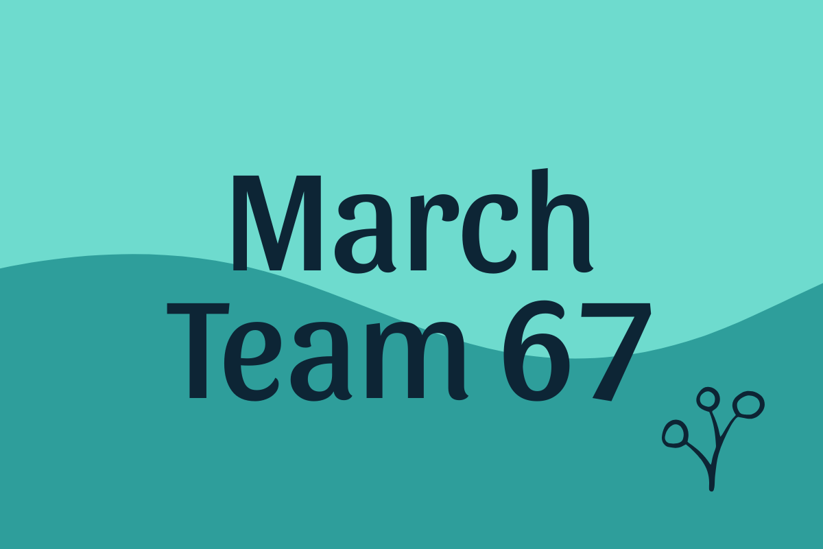 Team 67.png
