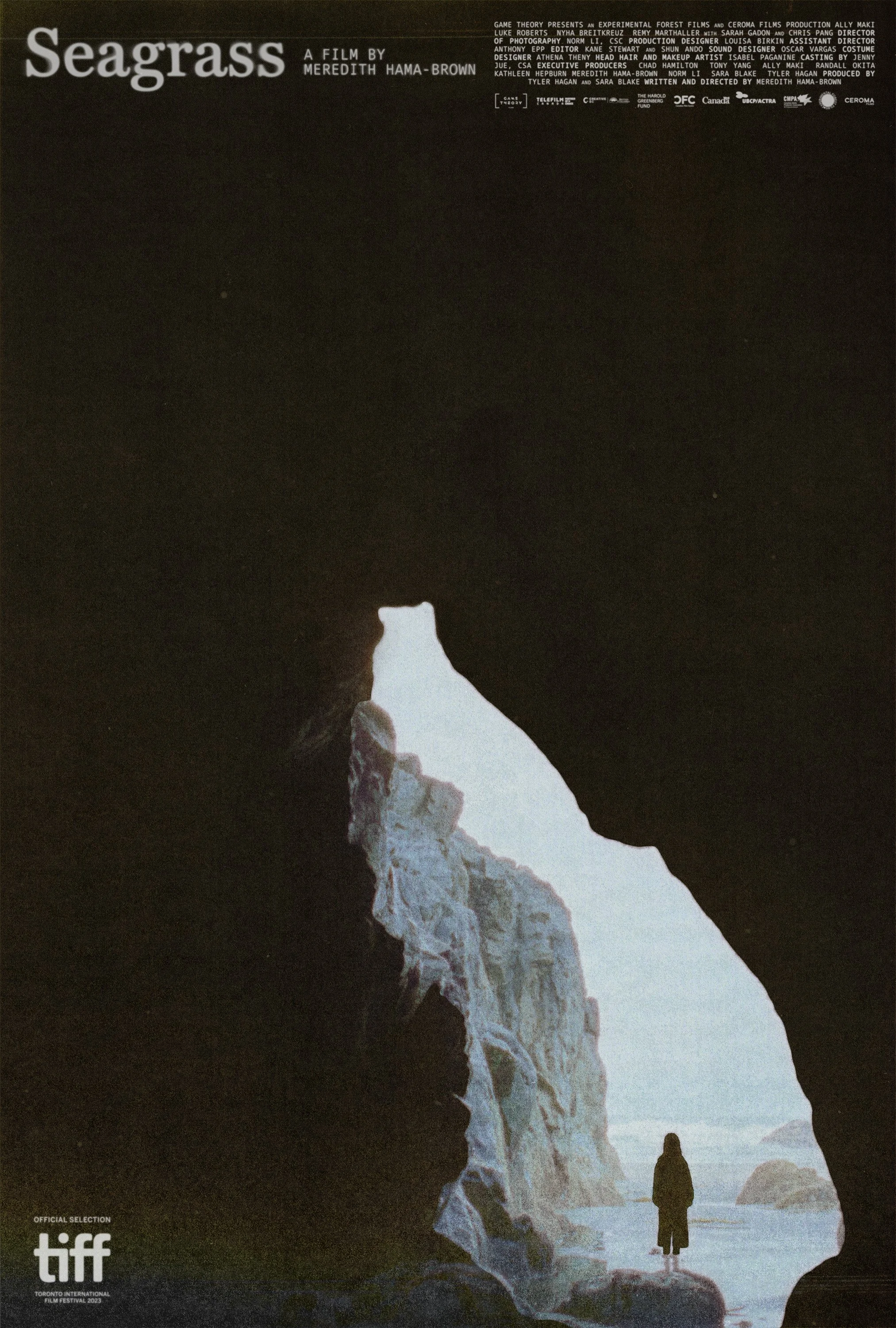 Seagrass Poster.jpg