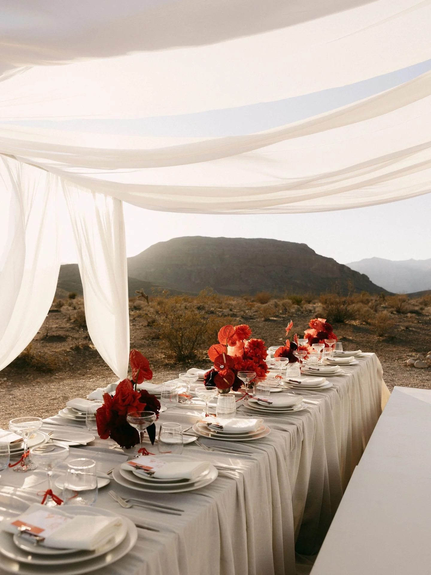 Georgina + Regi 🍒