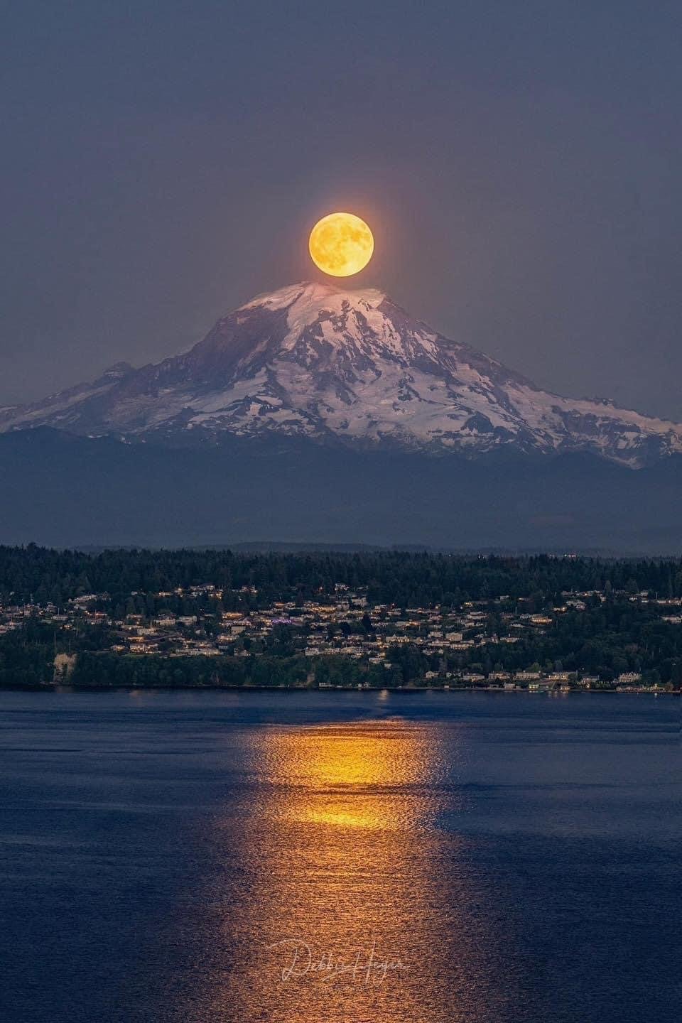 Mt Rainier Moonlight.jpeg