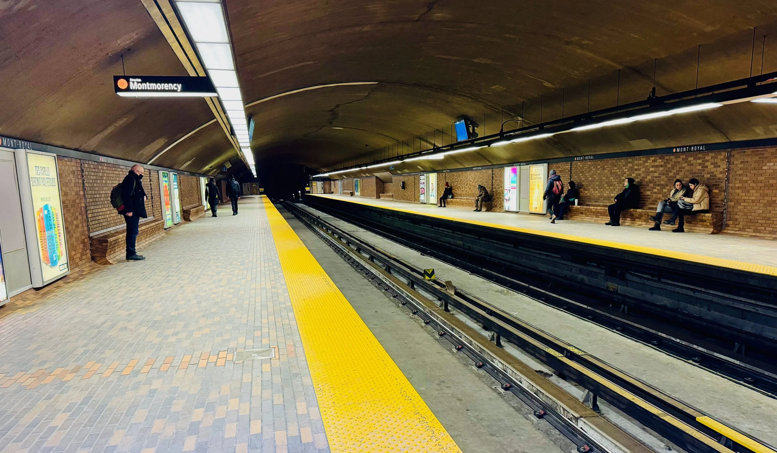 Parlons marmottes et routines