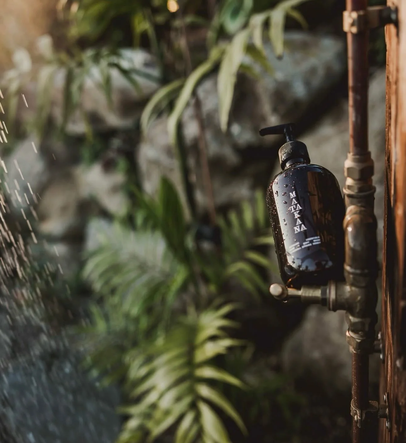 Introducing Matakana Essentials to our stays, a gift, a ritual, a small act of care.

As Matariki rises and we honour new beginnings, we&rsquo;ve welcomed a new chapter of care into every stay &mdash; a premium, bioactive body care range crafted with