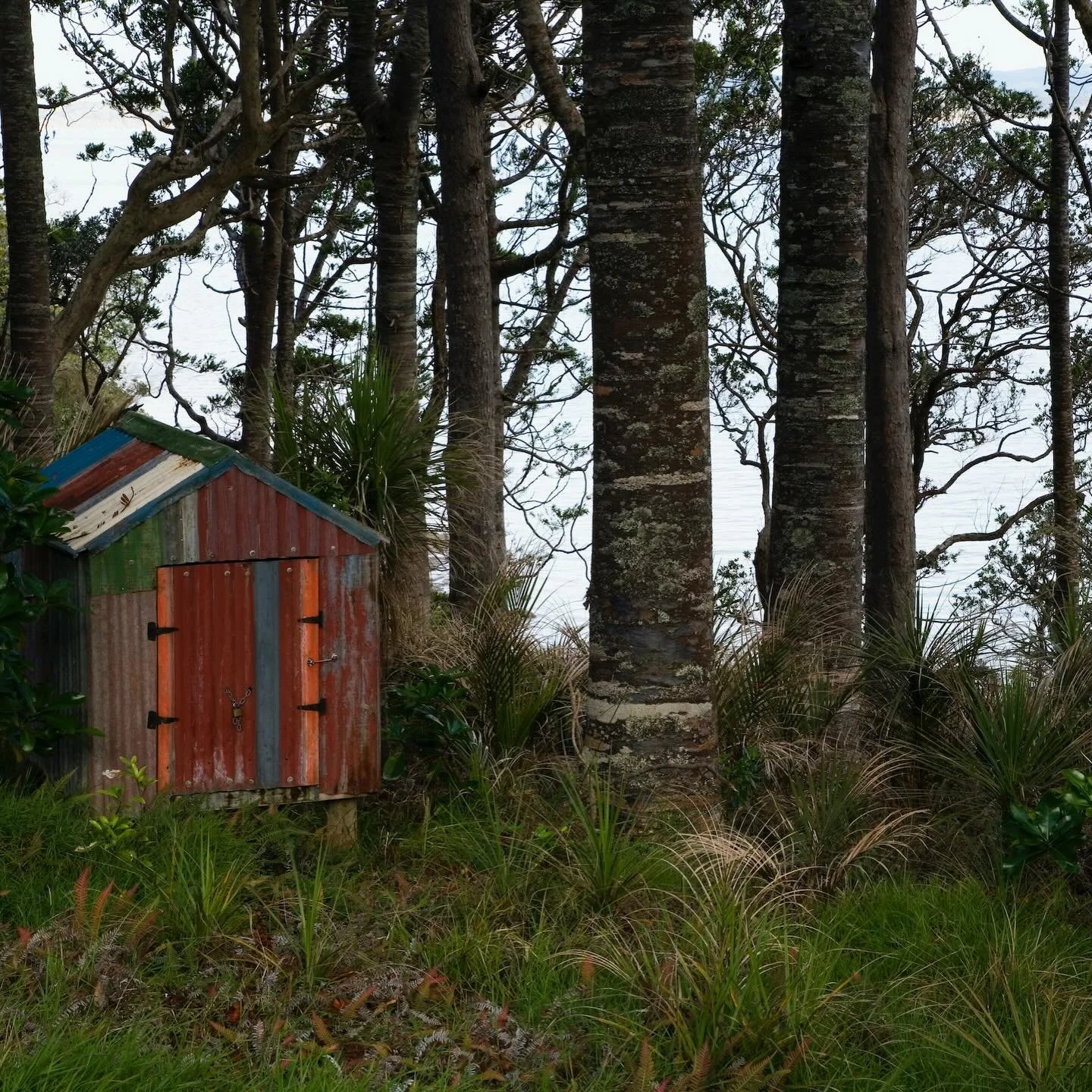 Native Hideaway 🍃
A secluded retreat nestled in nature, sleeping up to three guests. 

You will be welcomed and made to feel at home in private, quiet surroundings on the water&rsquo;s edge, where you can enjoy the special atmosphere of Ōmāio Garden