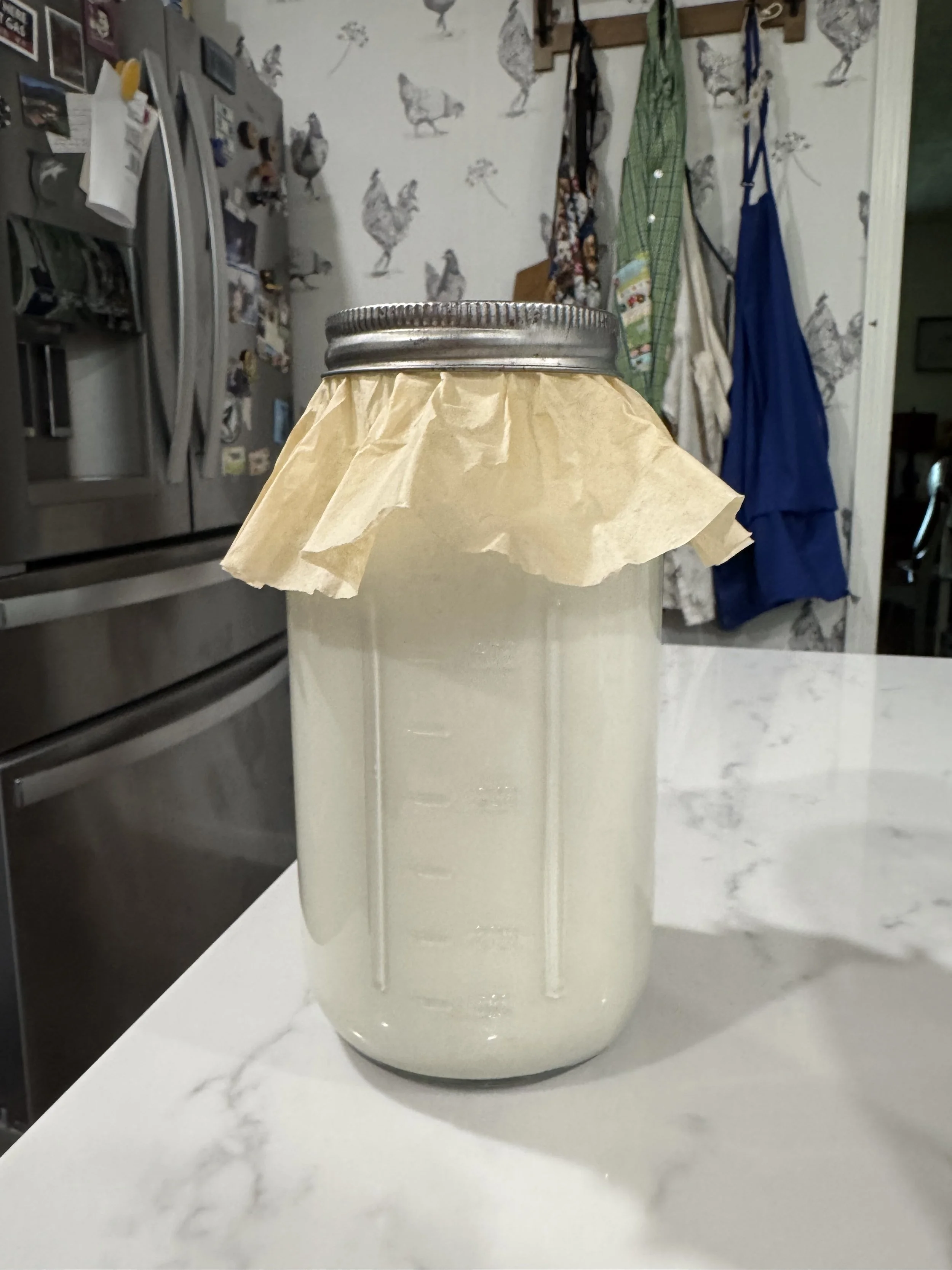 How To Use Kefir Grains