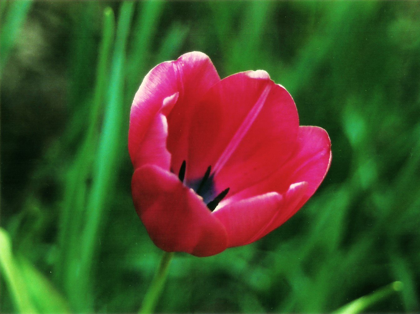 scan0009.jpg