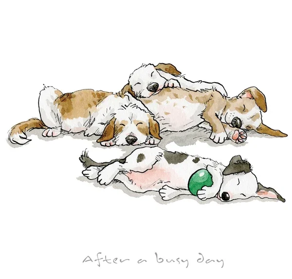 A Dog's Life - After a Busy Day