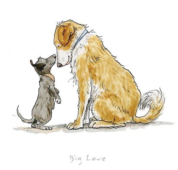 A Dog's Life - Big Love