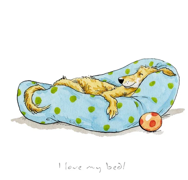 A Dog's Life - I Love My Bed