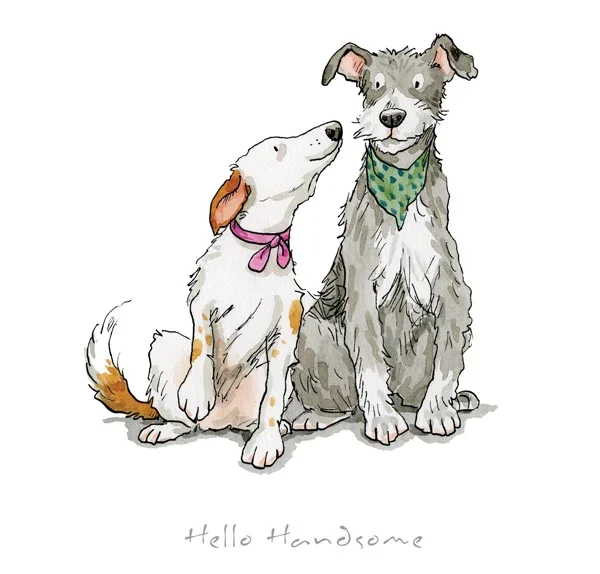 A Dog's Life - Hello Handsome