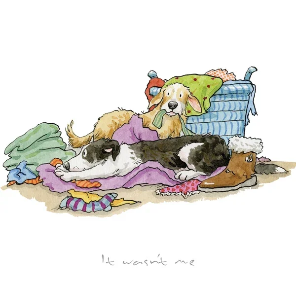A Dog's Life - It Wasn't Me
