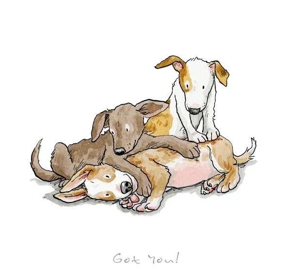 A Dog's Life - Got You