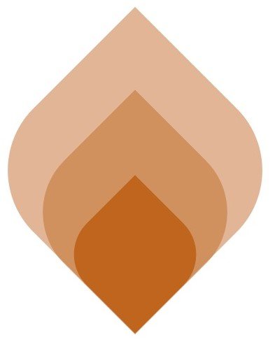 Estate Plan Basics