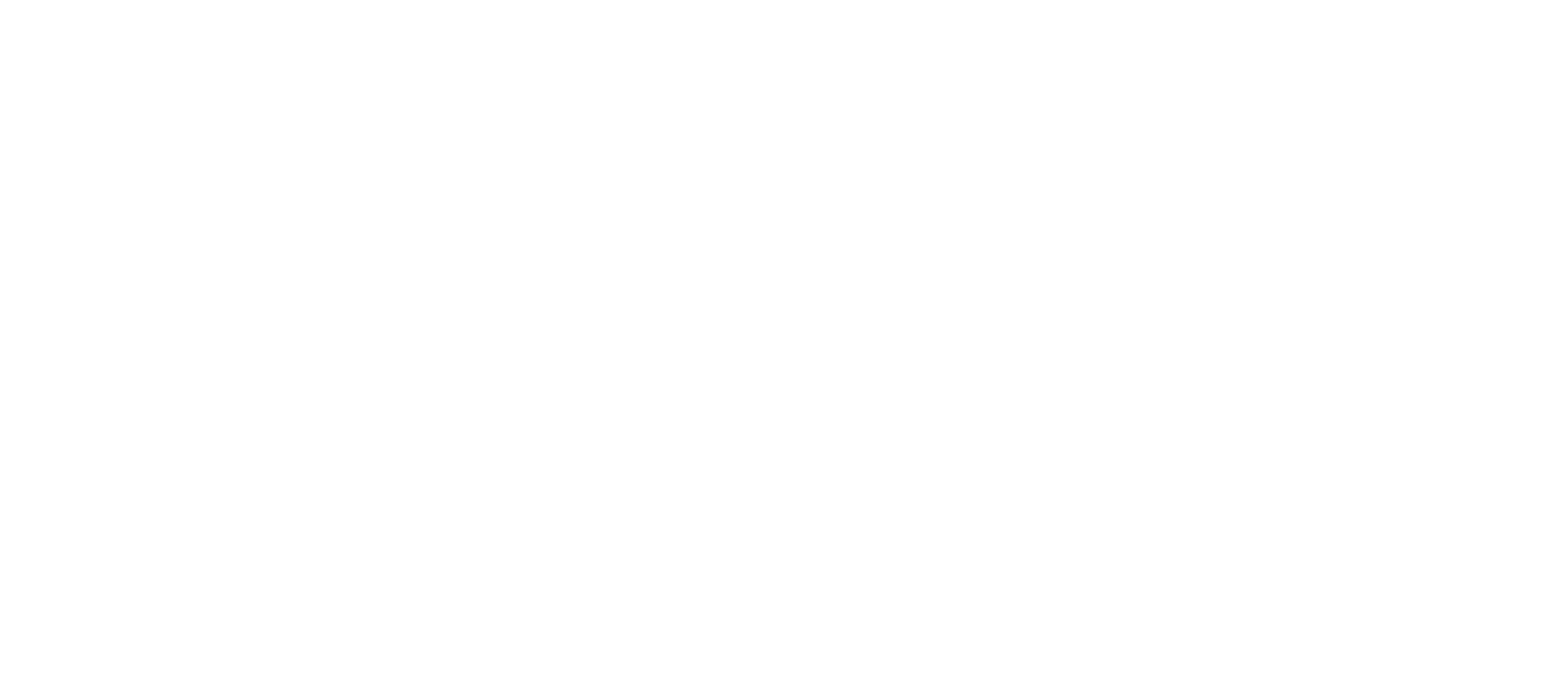 PIE Logo White 1.png