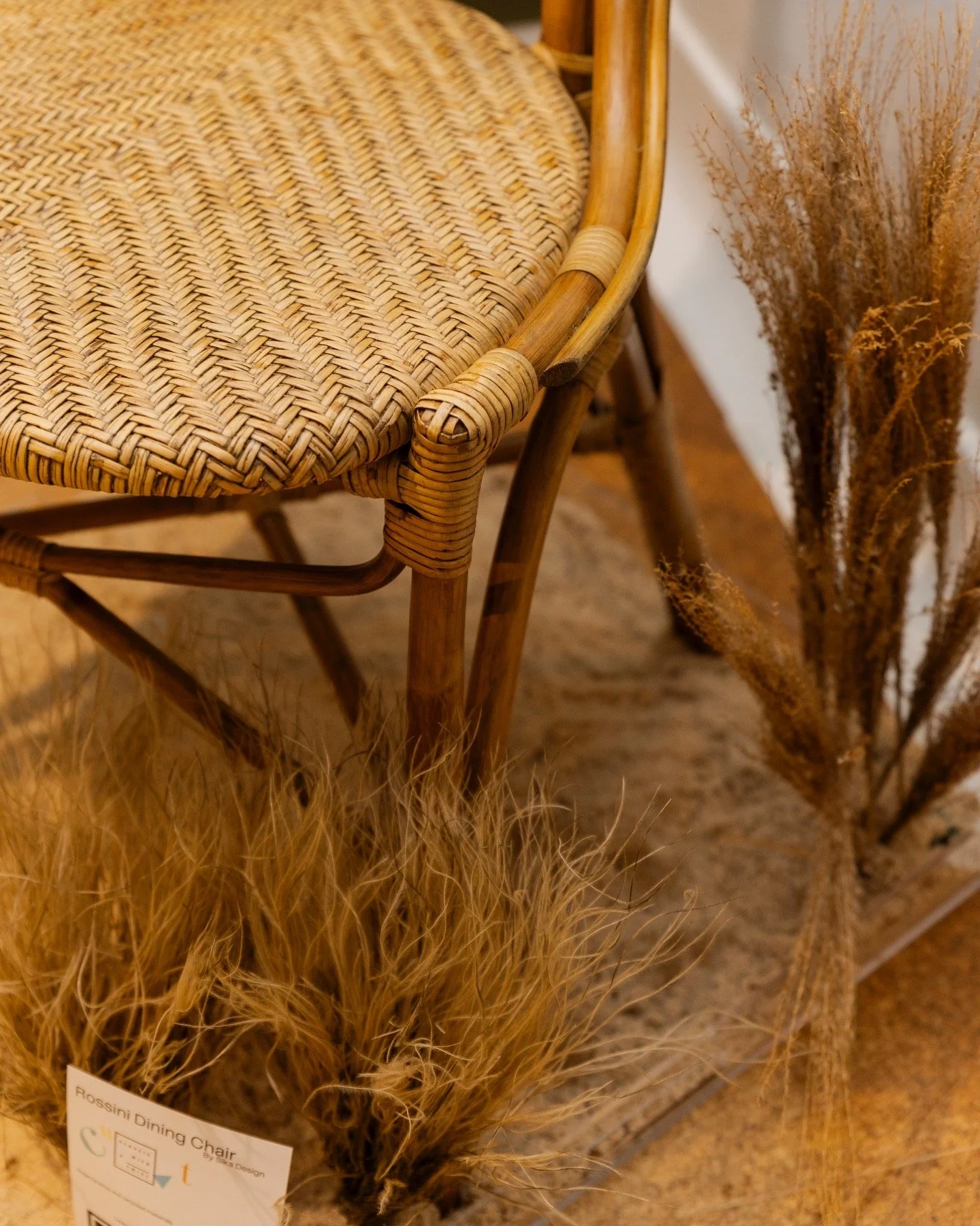 8432B151-28CC-48B1-859C-157523DFCCA8 (1).jpg