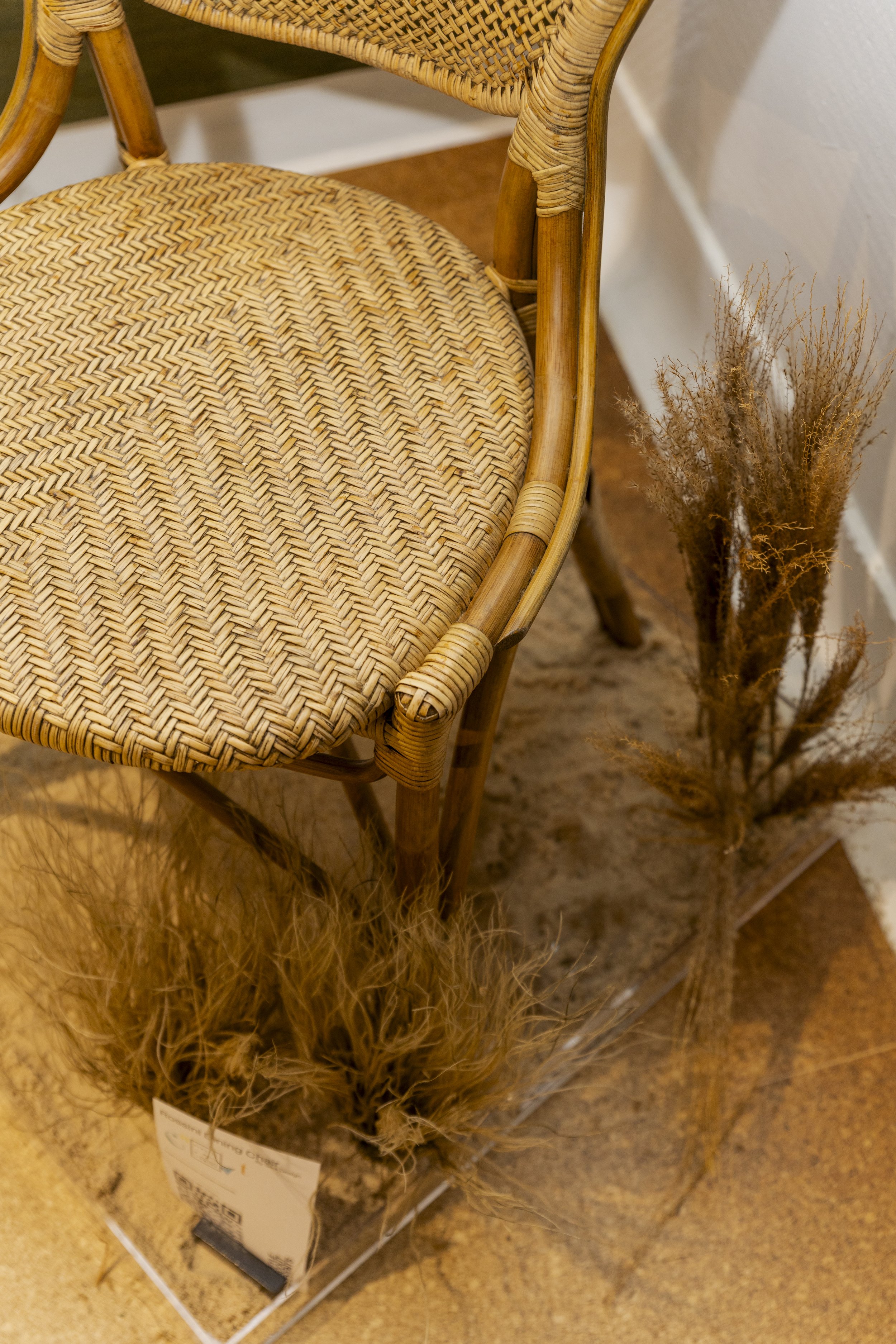 Group GSA Event-215.jpeg