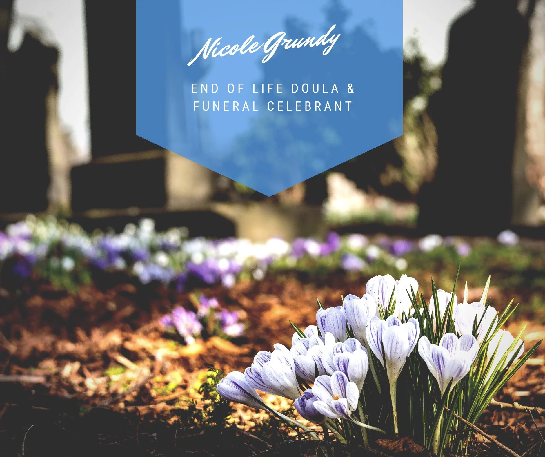 blue sign banner.jpg