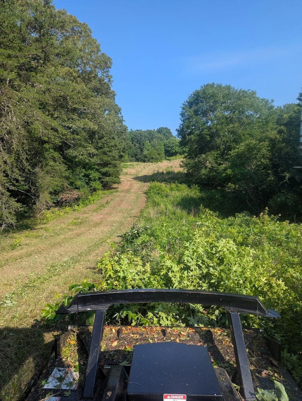 View from a vehicle on a grassy trail through a wooded area with green trees and a clear blue sky.