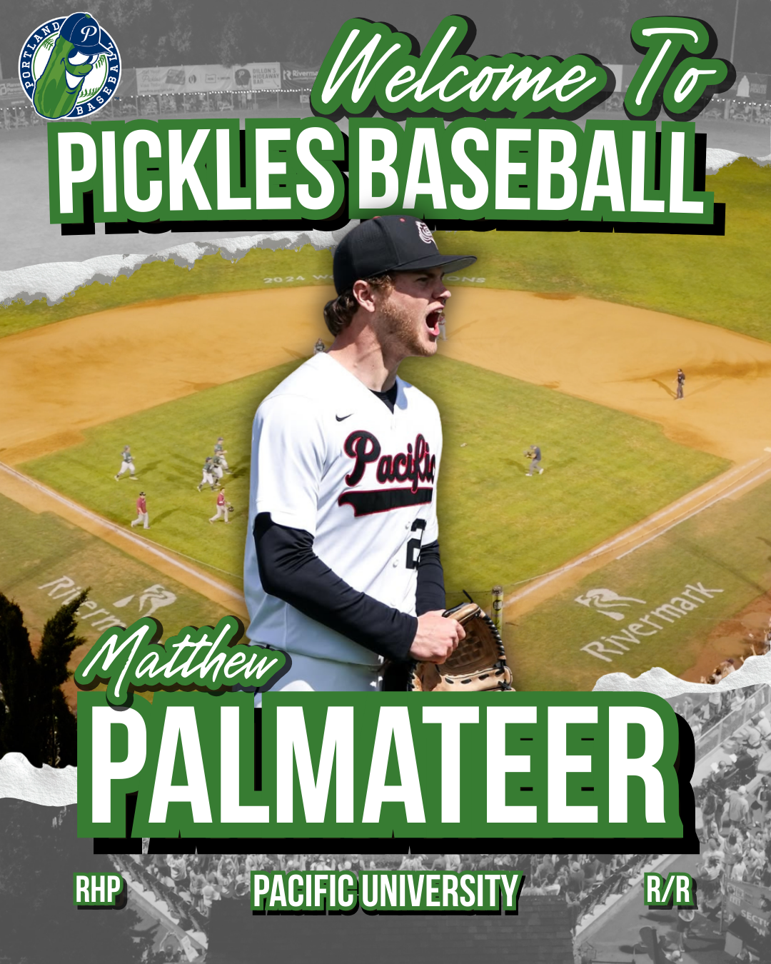 Matthew Palmateer.png