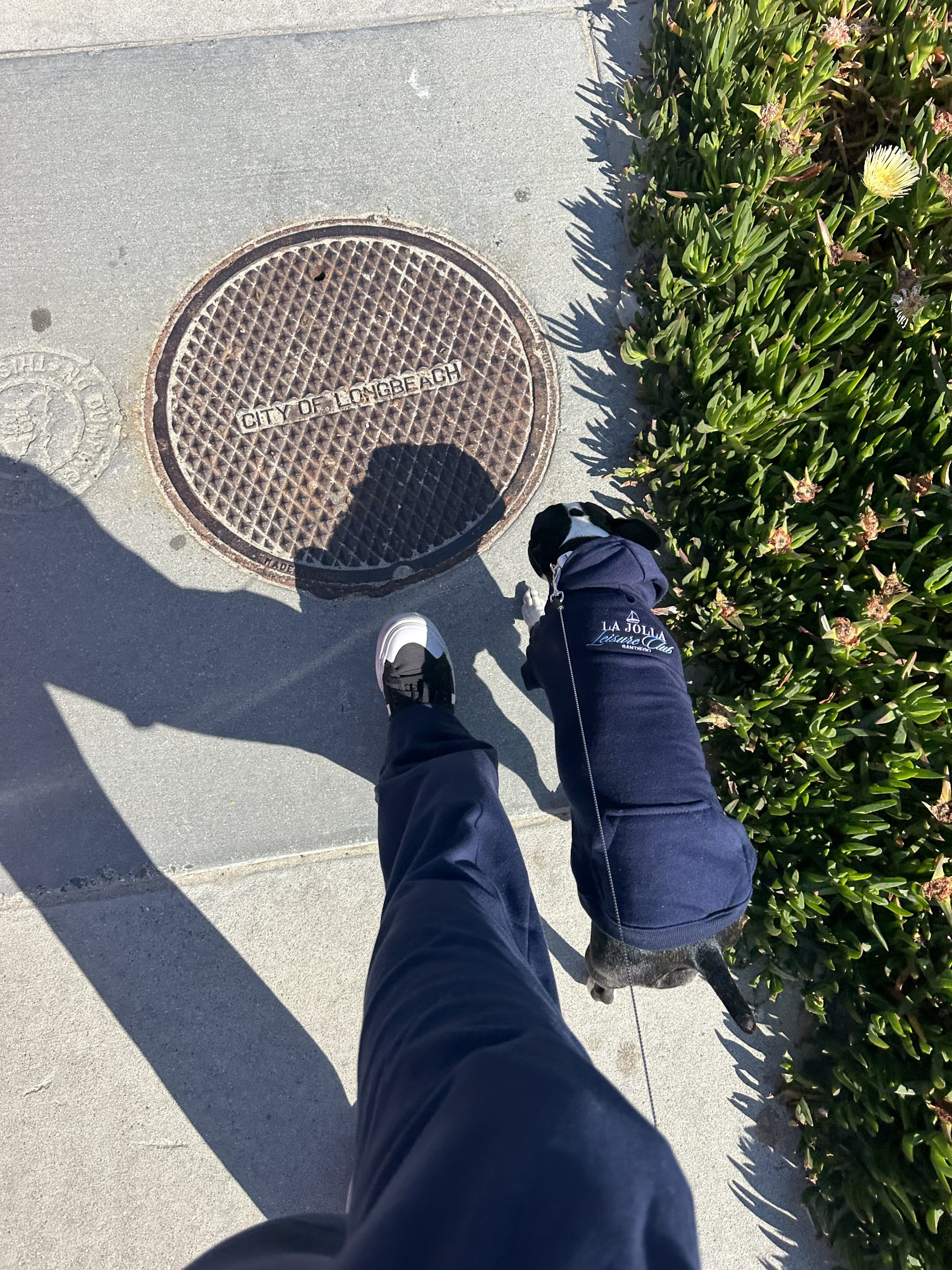 IMG_5273.jpeg