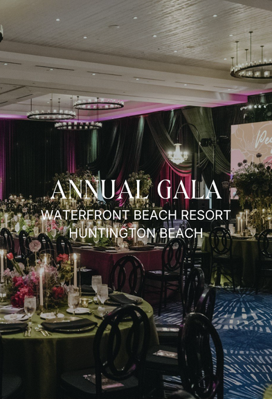 Pegasus School Annual Gala