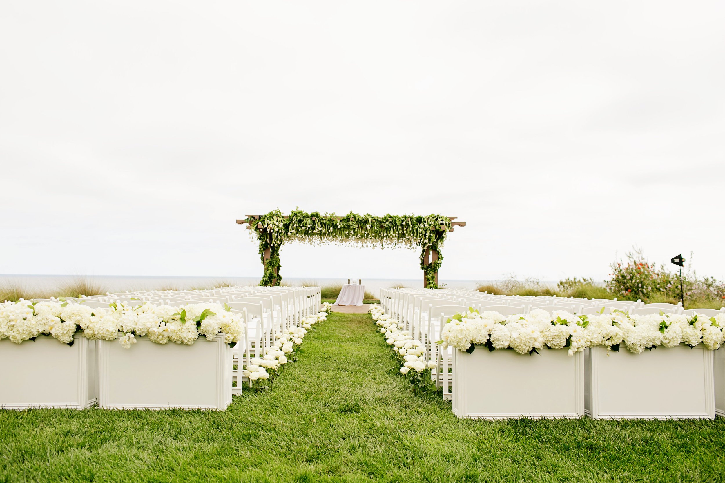 image-asset (1).jpeg