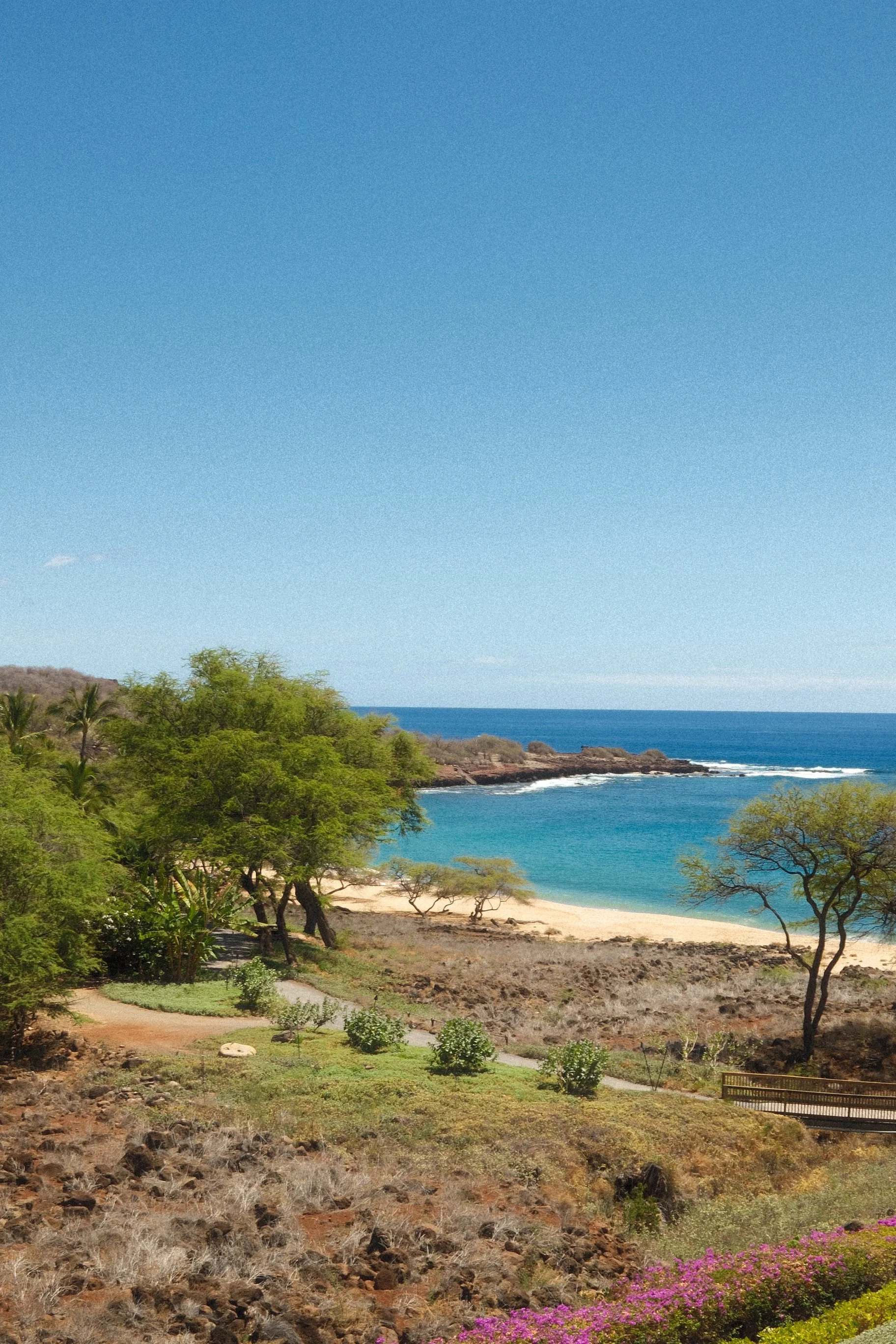 Destination Weddings in Hawaii: Why Four Seasons Lanai Is One of the Best Luxury Wedding Venues