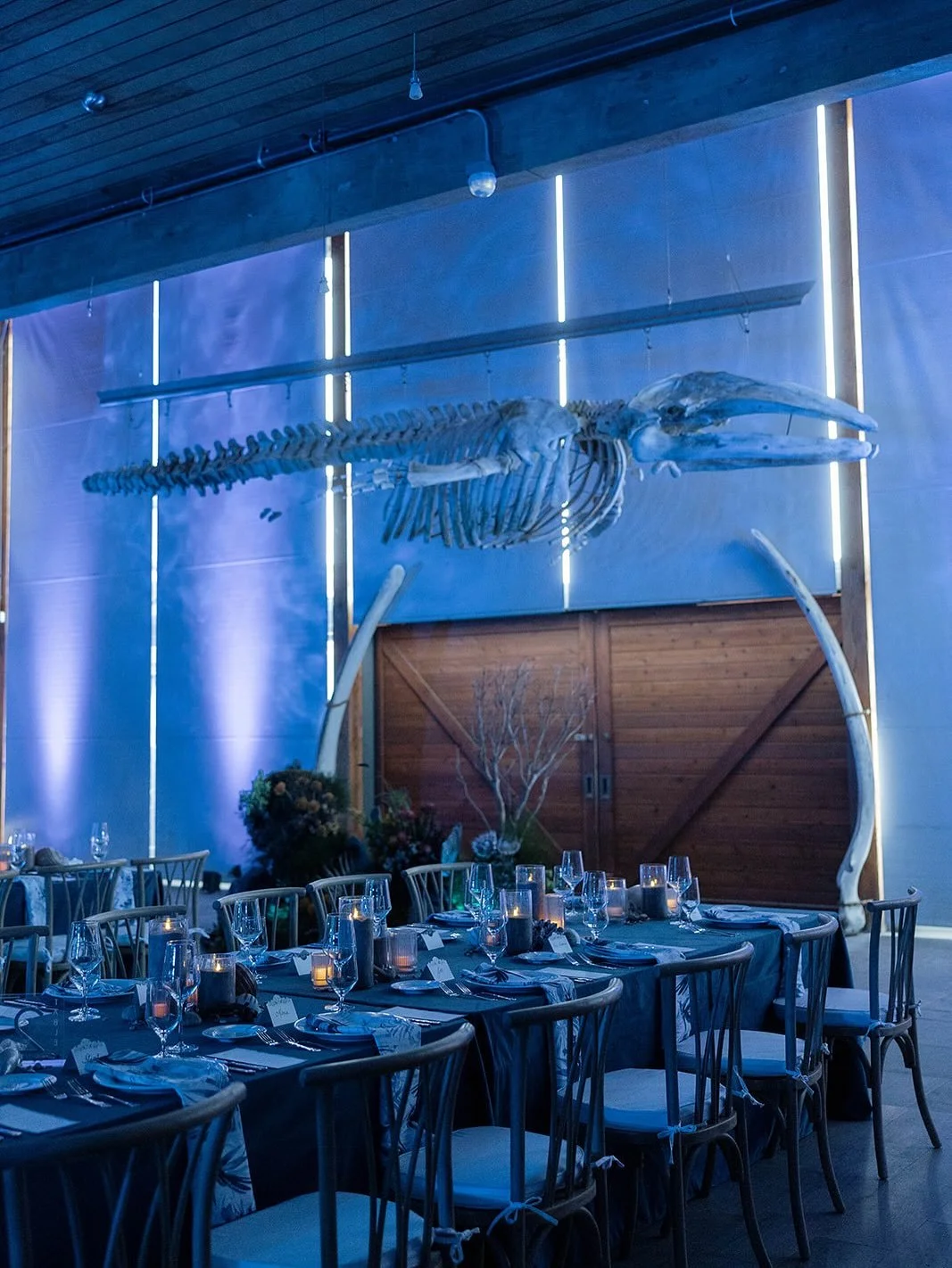 This past Saturday, we took our couple and their guests, beneath the surface.

A true National Geographic underwater journey, while waves danced across the walls, real sand and shells graced each table, and a custom coral reef bloomed beneath our wha