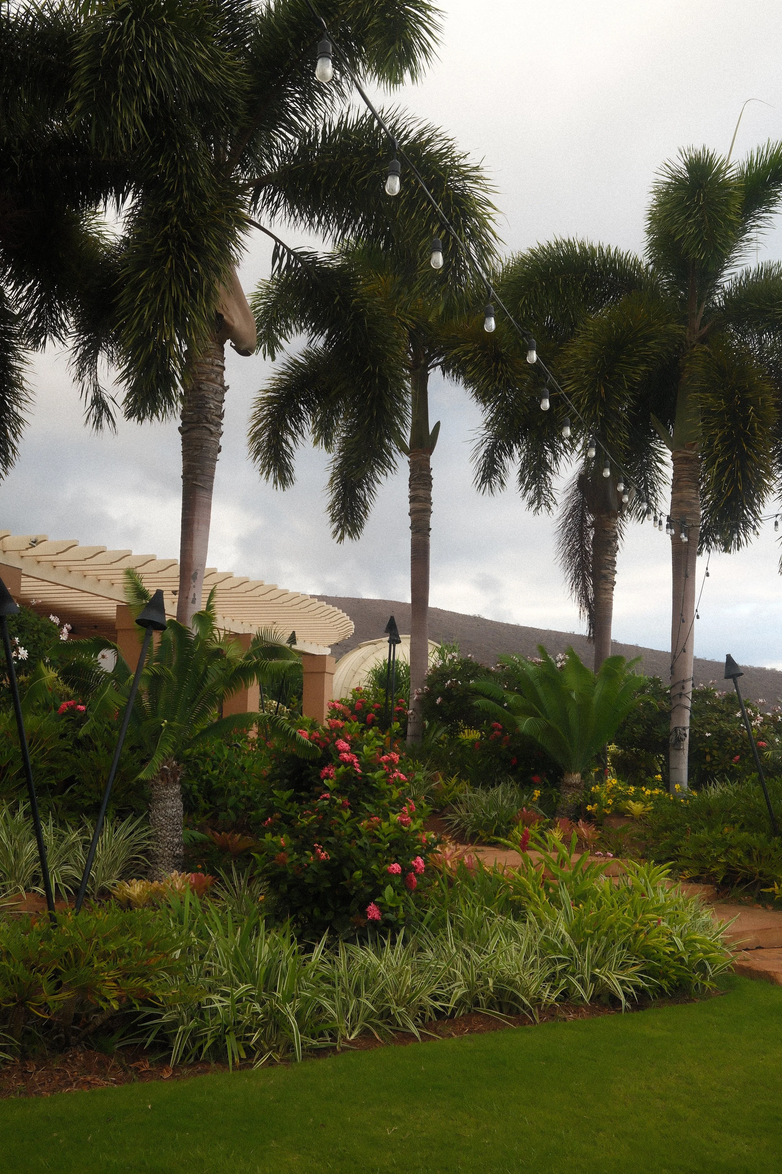 Destination Wedding: Hawaii