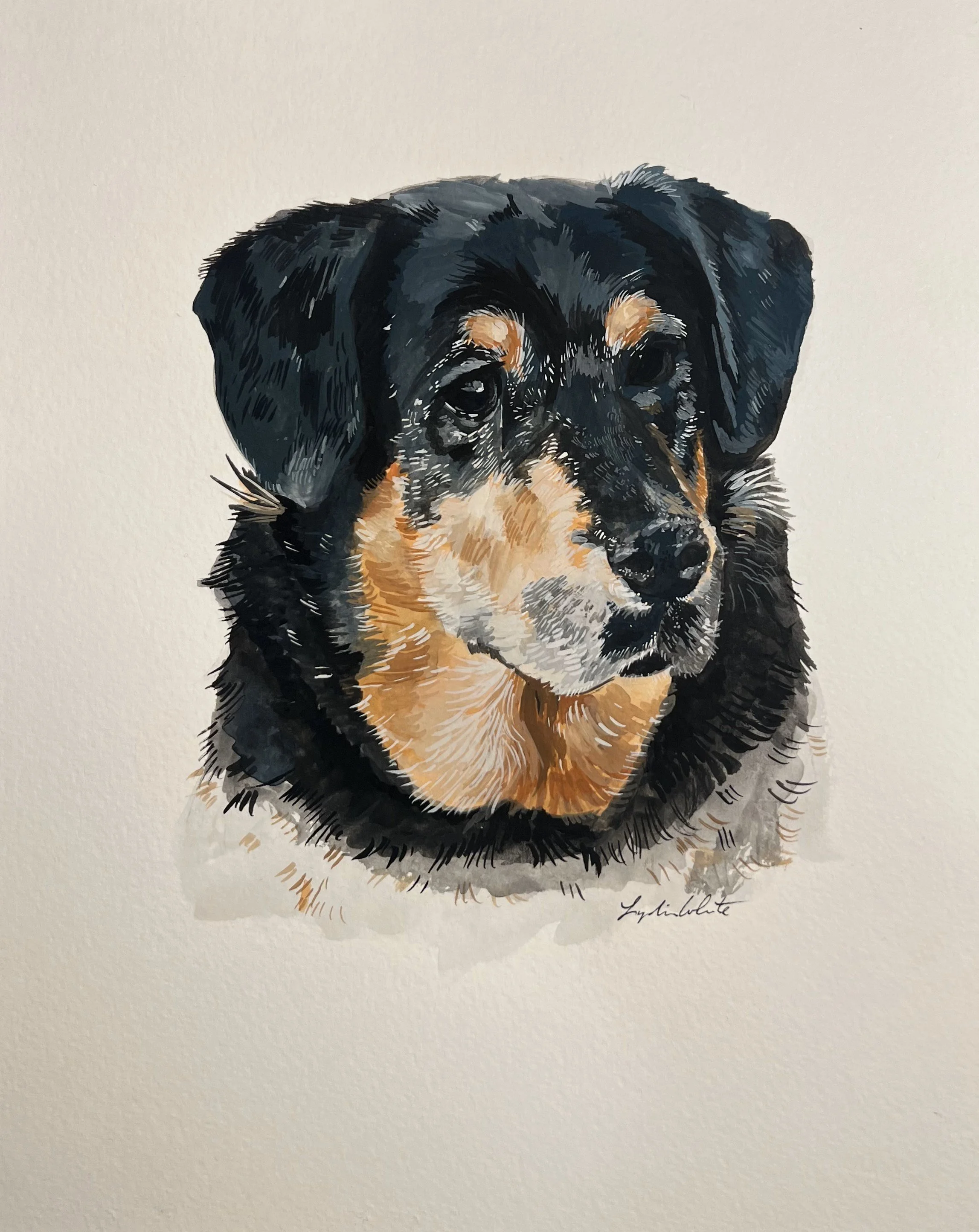 BlackDog_guache.jpg