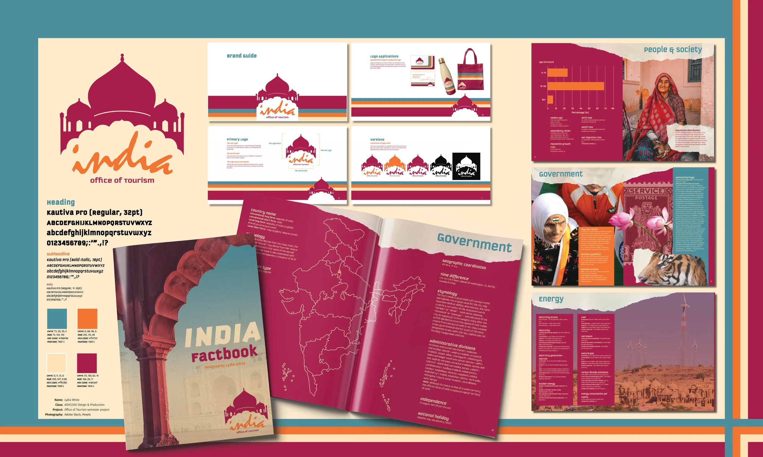 India Presentation Board.jpg
