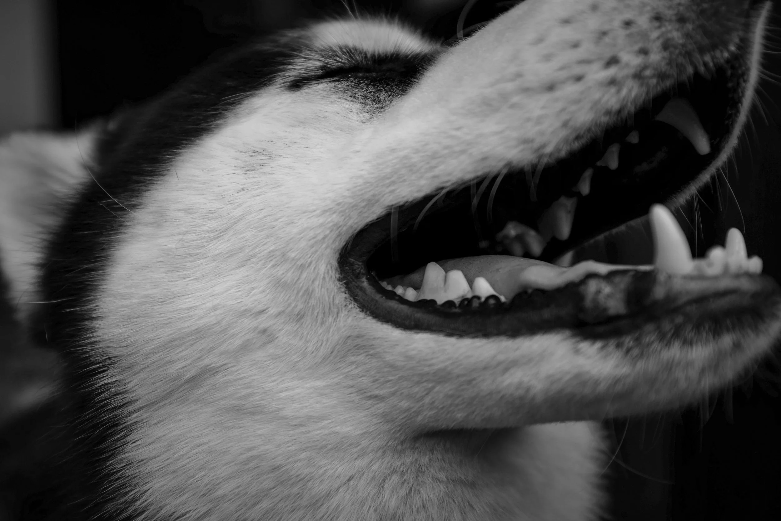 Teeth Brushing
