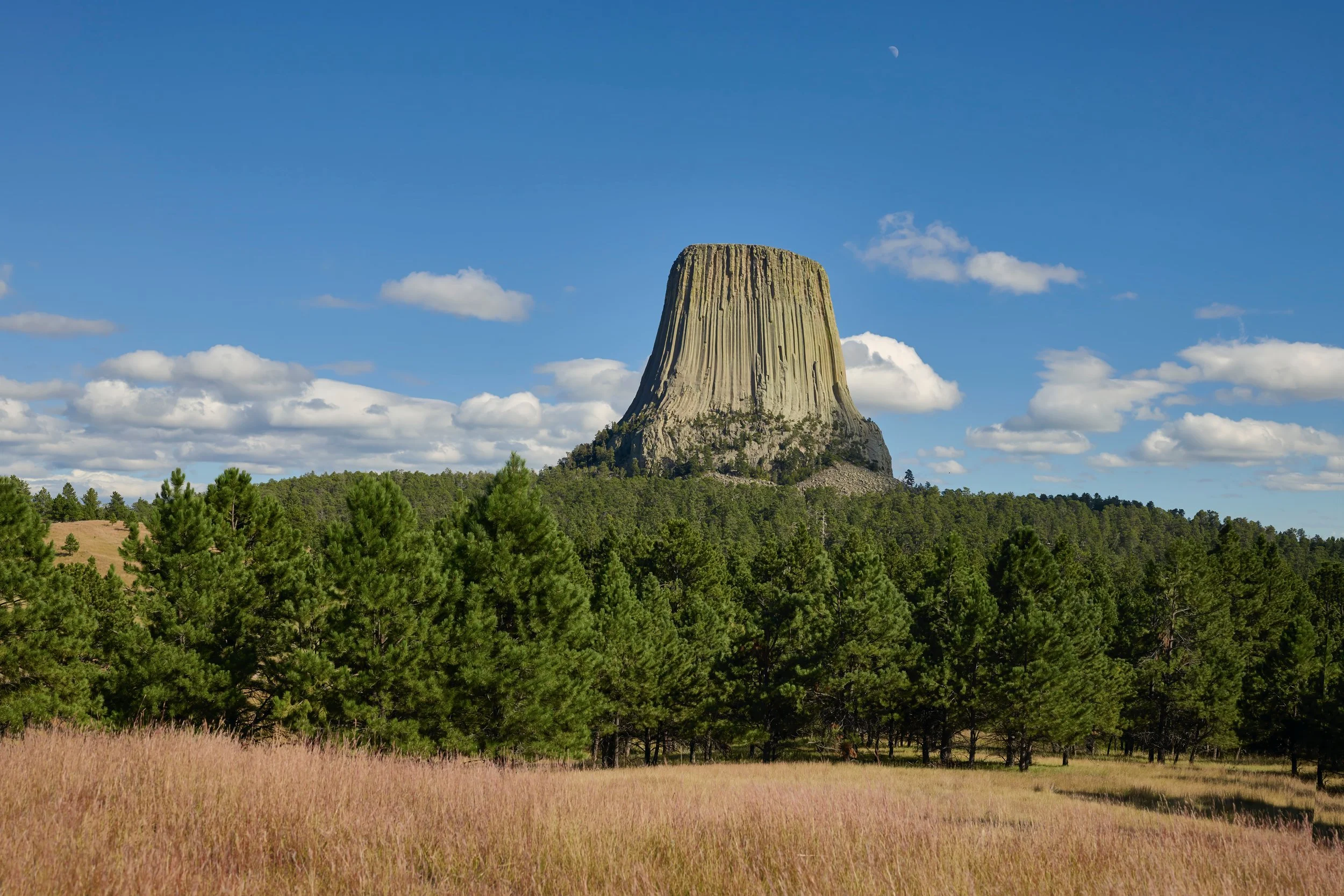 A large volcanic butte with steep vertical sides rises above a forest of tall green pine trees under a bright blue sky with scattered clouds and a visible crescent moon.