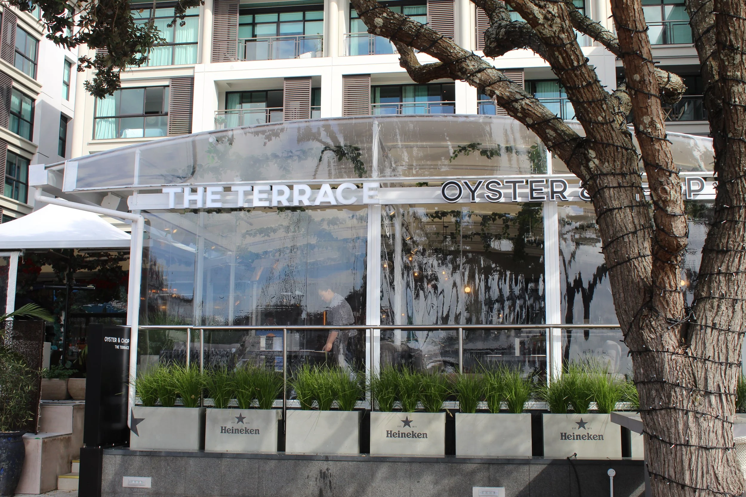Outdoor restaurant terrace with clear canopy and 'The Terrace Oyster & Chop' signage, surrounded by plants, in an urban setting.