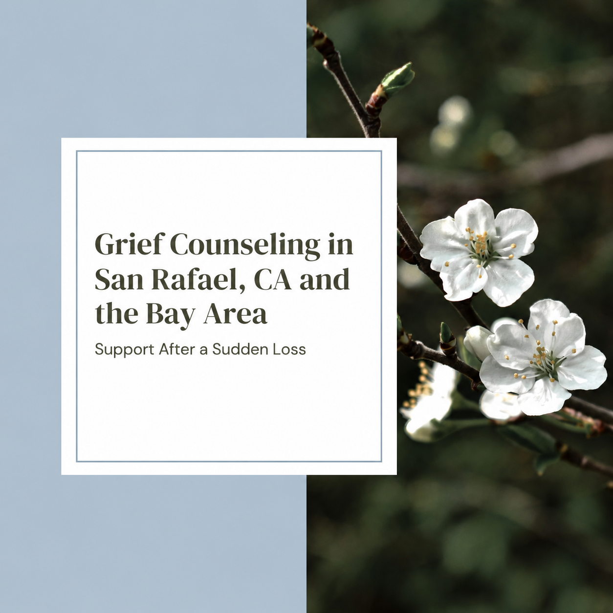 Grief Counseling in San Rafael, CA and the Bay Area: Support After a Sudden Loss