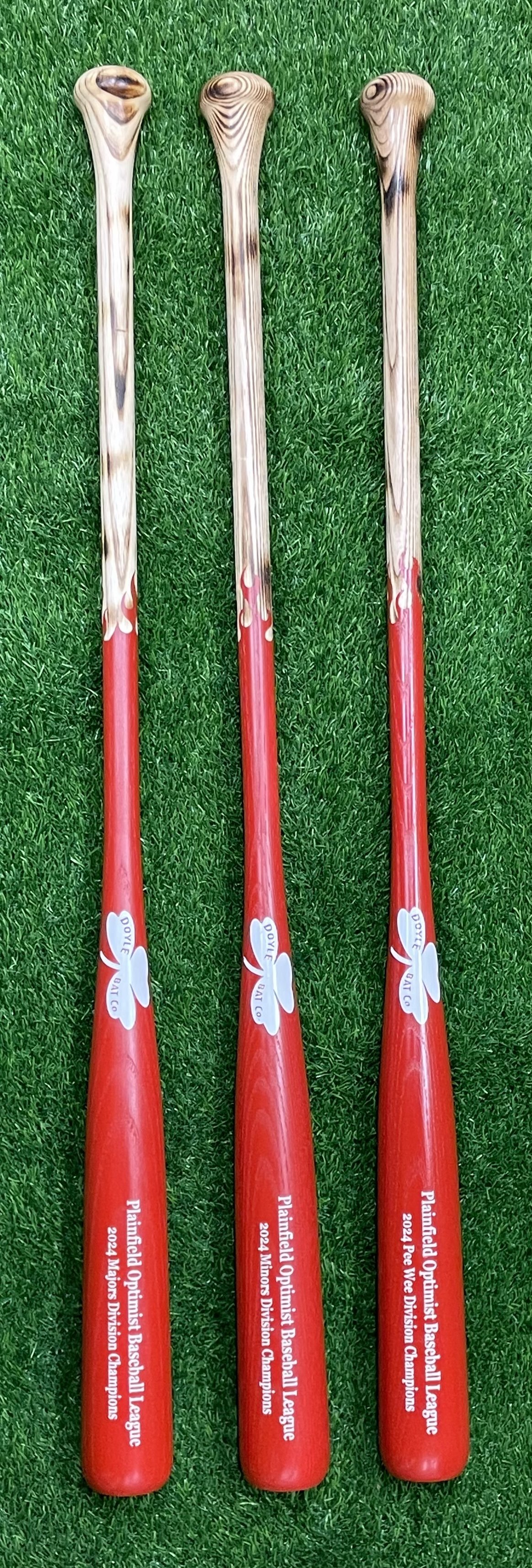 fungos.jpeg