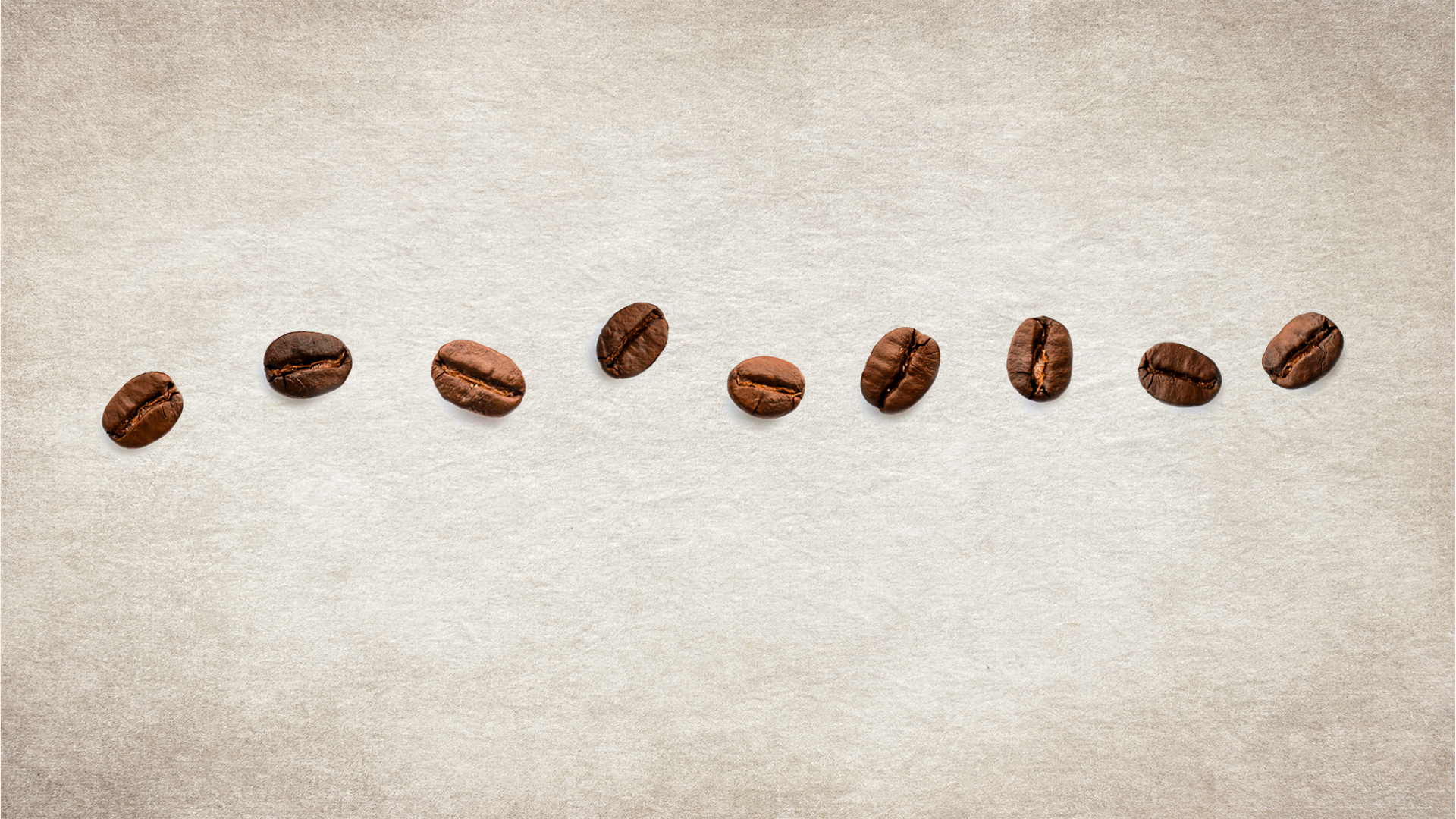 Shot 3: The Coffee beans reach an agreement and then align themselves neatly in a row.