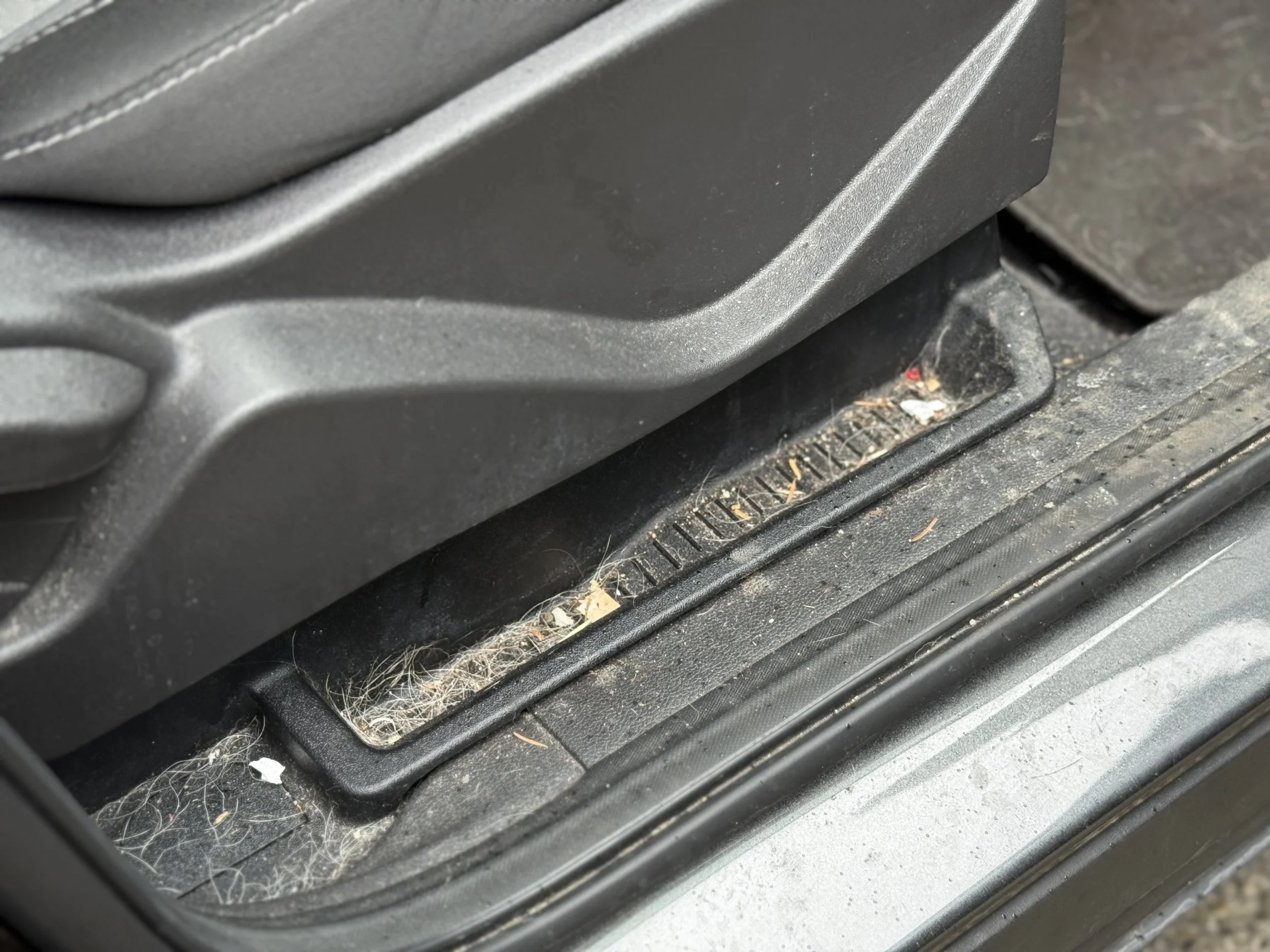 Dirty car floor with dust, hair, and debris under the seat and near the door sill.