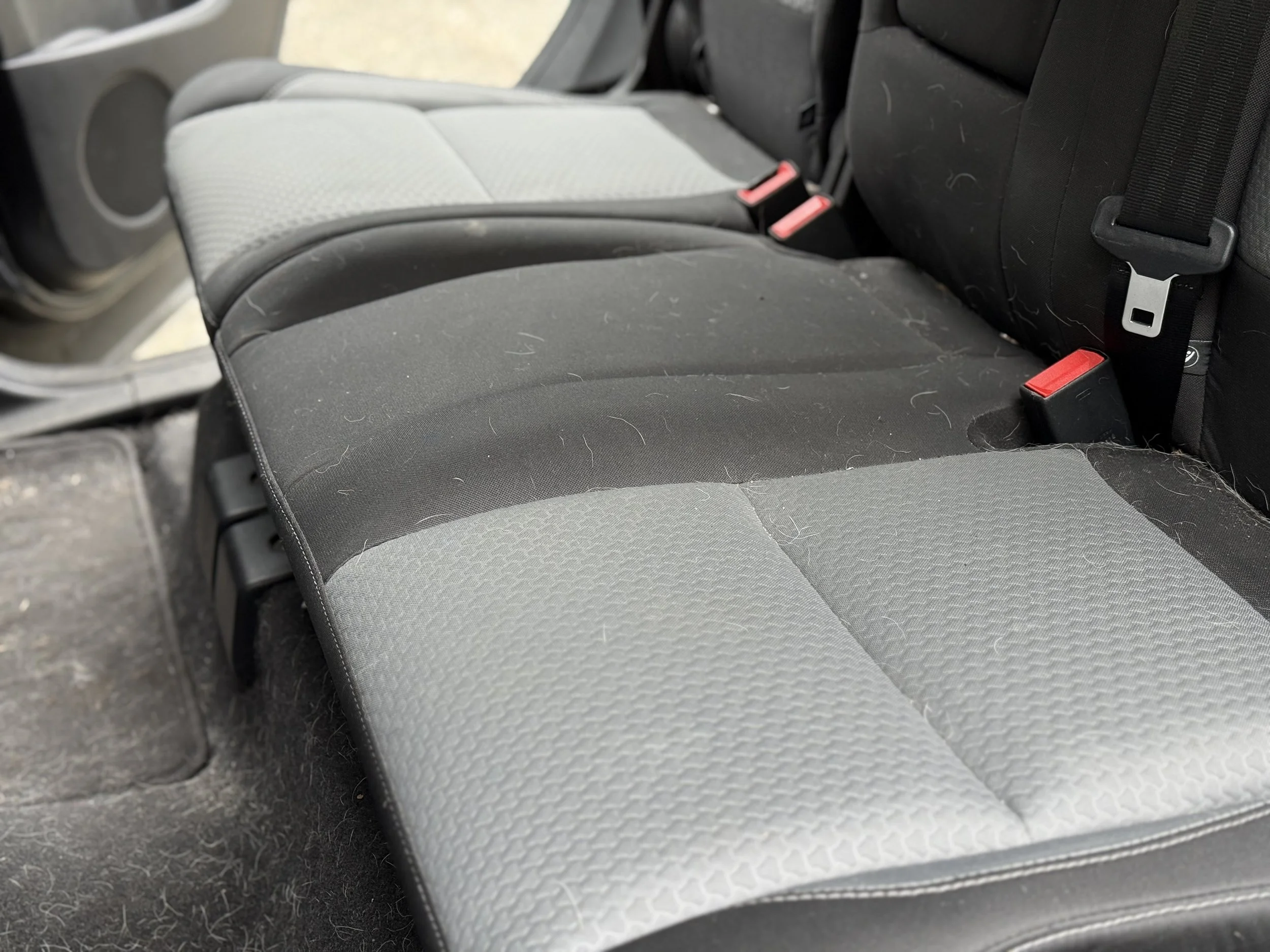 The image shows the backseat of a car with two row seats. The seats are covered with a fabric material, with theseat on the right being black and the left being gray. There is visible pet hair and some debris on the seats and the surrounding floor ar