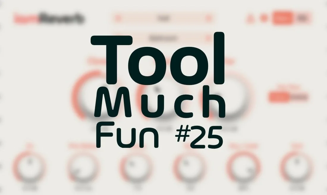 Tool Much Fun 25