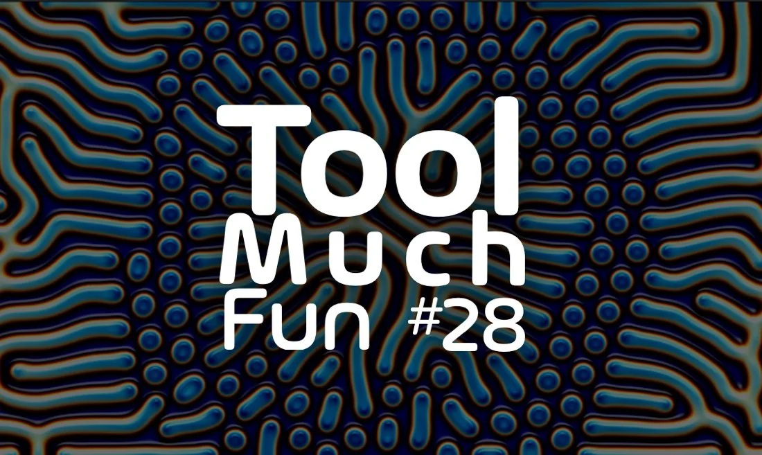 Tool Much Fun 28