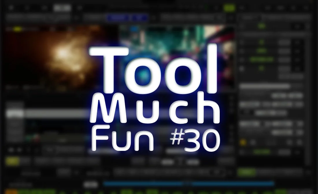 Tool Much Fun 30