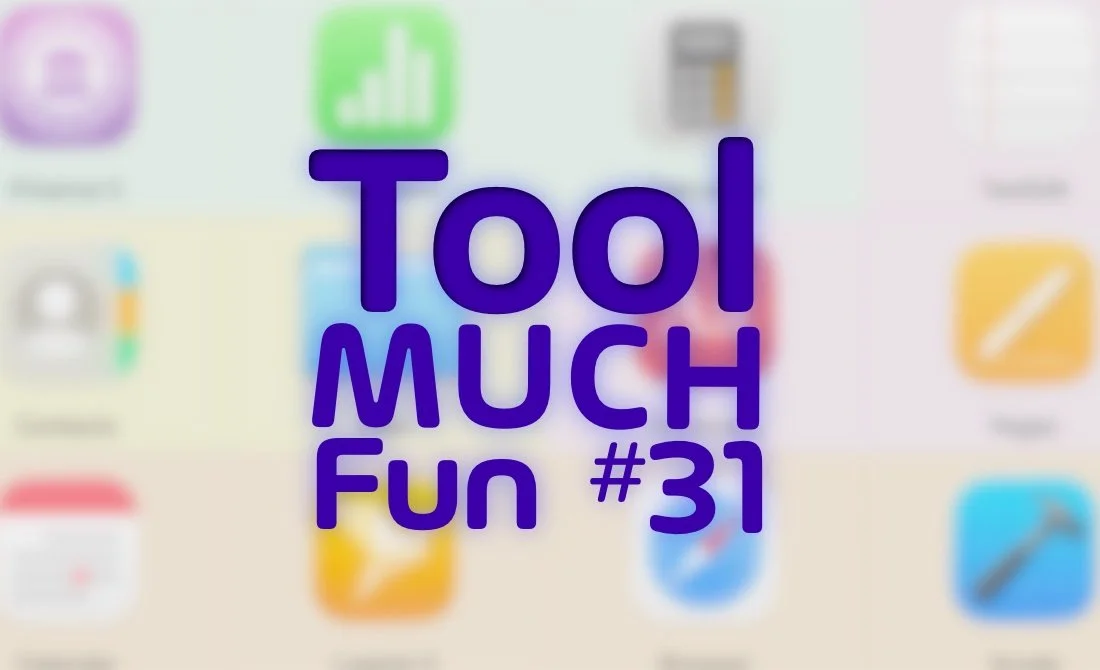 Tool Much Fun 31